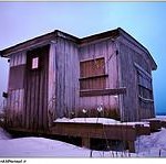 infantile-school-mickey-house.jpg